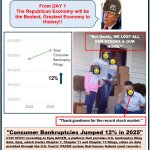 Record 2025 Consumer Bankruptcies