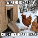 Winter is Hard. Try Chickens-Make it Harder! | WINTER IS HARD! TRY CHICKENS -MAKE IT HARDER! | image tagged in winter is hard try chickens-make it harder | made w/ Imgflip meme maker