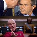 this jit cracks birds