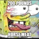 Horse Meat