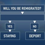 Will you be remigrated meme
