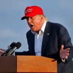 DONALD TRUMP MAGA HAT meme