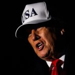 DONALD TRUMP USA HAT meme