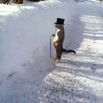 cat snow cane top hat
