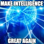 make intelligence great again | MAKE INTELLIGENCE; GREAT AGAIN | image tagged in brain illumination | made w/ Imgflip meme maker
