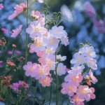 Your Soul Is The Key