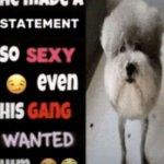 he made a statement so sexy