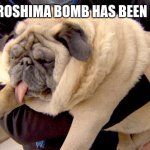 fat pug | THE HIROSHIMA BOMB HAS BEEN FOUND | image tagged in fat pug | made w/ Imgflip meme maker