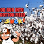 Cotton Field | BLOOD RUN INTO THE COTTON FIELD | image tagged in cotton field | made w/ Imgflip meme maker