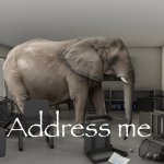 Adress Me Elephant meme