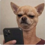 Dog E Padre reads comments