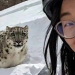 Snow, cat, accident,