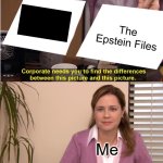Blank | The Epstein Files; Me | image tagged in memes,they're the same picture,funny memes | made w/ Imgflip meme maker