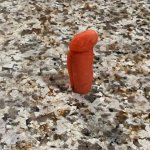 Sexy carrot