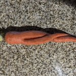 Sexy carrot | image tagged in sexy carrot | made w/ Imgflip meme maker
