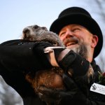 Punxsutawney Phil