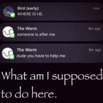 Early bird gets the worm