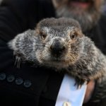 GroundHog Day