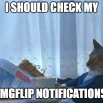 Maybe I should | I SHOULD CHECK MY; IMGFLIP NOTIFICATIONS | image tagged in memes,i should buy a boat cat,notifications,funny | made w/ Imgflip meme maker