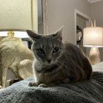 The group when that one person is doing _