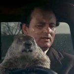 Don’t Drive Angry