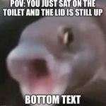 Bro sitting on the toilet without the seat down should be a torture method | POV: YOU JUST SAT ON THE TOILET AND THE LID IS STILL UP; BOTTOM TEXT | image tagged in poggers fish,memes,so true,toilet,pog,bottom text | made w/ Imgflip meme maker