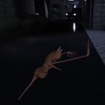 Marcus the Worm - "Assert the Vibe"