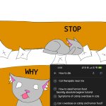 "i saw horror/cringe"cat meme porly drawn