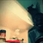 Think something of clever | WHEN YOU CLICK AN VERY OBVIOUS FAKE LINK JUST TO SEE WHAT WILL HAPPEN | image tagged in gifs,if you read this tag you are gay | made w/ Imgflip video-to-gif maker