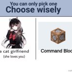 Choose wisely | Command Block | image tagged in choose wisely | made w/ Imgflip meme maker