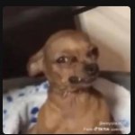 if it is monday meme