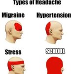 almost anyone can relate | SCHOOL | image tagged in headaches | made w/ Imgflip meme maker