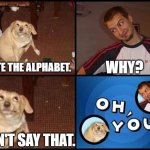 don't say that. | WHY? I HATE THE ALPHABET. DON'T SAY THAT. | image tagged in oh you,alphabet | made w/ Imgflip meme maker