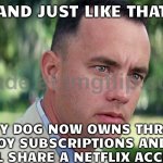 AND JUST LIKE THAT; MY DOG NOW OWNS THREE TOY SUBSCRIPTIONS AND I STILL SHARE A NETFLIX ACCOUNT | AND JUST LIKE THAT; MY DOG NOW OWNS THREE TOY SUBSCRIPTIONS AND I STILL SHARE A NETFLIX ACCOUNT | image tagged in memes,and just like that,subscribe,toys,dogs,netflix | made w/ Imgflip meme maker