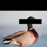 Epstein files redacted duck