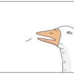 Goose down asking 1st panel