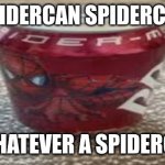 spider can spider can | SPIDERCAN SPIDERCAN; DOES WHATEVER A SPIDERCAN CAN | image tagged in spider can | made w/ Imgflip meme maker