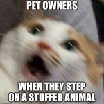Mini panic attack | PET OWNERS; WHEN THEY STEP ON A STUFFED ANIMAL | image tagged in aaaaaaaaaaaaaaaa cat,pet humor | made w/ Imgflip meme maker