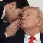 Rubio