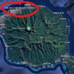 Looks like Dutch made it after all