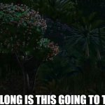 King Julien How Long Is This Going To Take