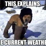 Cold Dog | THIS EXPLAINS; THE CURRENT WEATHER! | image tagged in cold dog,dog,dog memes,cold,freezing cold,memes | made w/ Imgflip meme maker