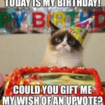 Bday! | TODAY IS MY BIRTHDAY! COULD YOU GIFT ME MY WISH OF AN UPVOTE? | image tagged in memes,grumpy cat birthday,grumpy cat | made w/ Imgflip meme maker