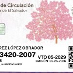 Mira las nuevas tarjetas de circulación