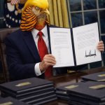 Trump Golden Pheasant