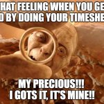My Precious Paycheck!! | THAT FEELING WHEN YOU GET PAID BY DOING YOUR TIMESHEET!! MY PRECIOUS!!!  I GOTS IT, IT'S MINE!! | image tagged in golum,timesheet reminder,timesheet meme,timesheet,timesheets,lord of the rings | made w/ Imgflip meme maker