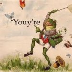 Wrong correction meme