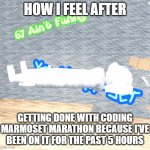Marmoset ＡＳＣＥＮＤＳ | HOW I FEEL AFTER; GETTING DONE WITH CODING MARMOSET MARATHON BECAUSE I'VE BEEN ON IT FOR THE PAST 5 HOURS | image tagged in marmoset,coding,insomnia | made w/ Imgflip meme maker