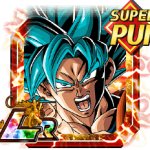 str lr goku