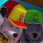 Marshell and rocky covering their ears